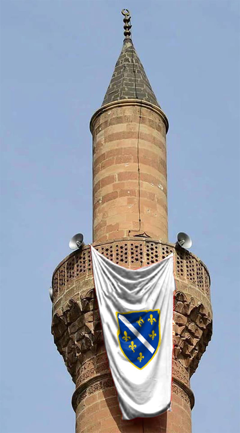 Lilium Bosniacum The Bosnian Fleur de lis Bosnian History lilium-bosniacum-the-bosnian-fleur-de-lis-bosnian-history